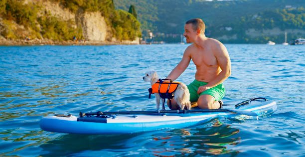 Young man kneeling on paddle board and looking at view.